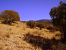 photo thumbnail #8