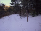 photo thumbnail #4