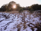 photo thumbnail #5