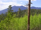 photo thumbnail #10