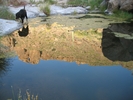 photo thumbnail #9