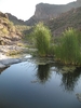 photo thumbnail #12
