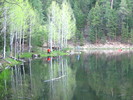 photo thumbnail #6