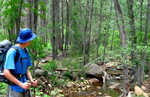 photo thumbnail #8