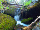 photo thumbnail #2