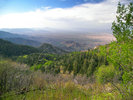 photo thumbnail #6