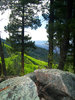 photo thumbnail #7