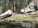 photo thumbnail #3