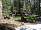 photo thumbnail #4