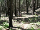 photo thumbnail #4