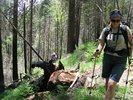 photo thumbnail #8