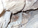 photo thumbnail #14