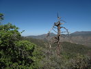 photo thumbnail #4
