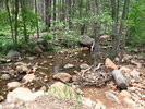 photo thumbnail #8