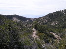 photo thumbnail #9