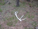photo thumbnail #7
