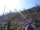 photo thumbnail #7
