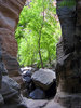 Featured Detail Photo
