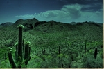 photo thumbnail #1