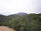 photo thumbnail #13