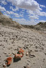 photo thumbnail #9