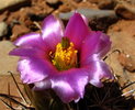 photo thumbnail #6