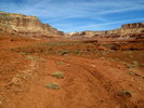 photo thumbnail #14