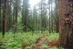 photo thumbnail #10