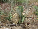 photo thumbnail #6