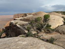 photo thumbnail #4