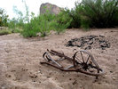photo thumbnail #9