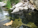 photo thumbnail #12