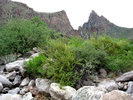photo thumbnail #13