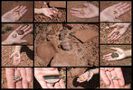 photo thumbnail #9