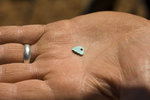 photo thumbnail #10