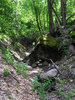 photo thumbnail #5