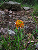 photo thumbnail #11