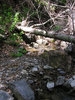 photo thumbnail #15