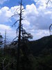 photo thumbnail #12