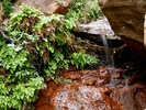 photo thumbnail #12