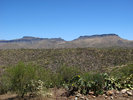 photo thumbnail #2