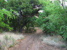 photo thumbnail #15