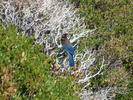 photo thumbnail #11