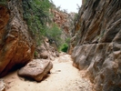 photo thumbnail #7