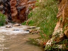 photo thumbnail #12