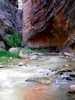 photo thumbnail #13