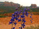 photo thumbnail #4