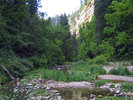 photo thumbnail #9