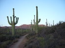 photo thumbnail #6