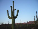 photo thumbnail #7